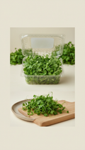 Pea shoot microgreens in recyclable clamshell