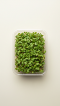 Radish microgreens in recyclable clamshell