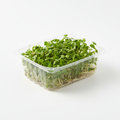 Fresh Clover Microgreens in a 13oz clamshell