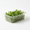 Fresh Arugula Microgreens in a 13oz clamshell