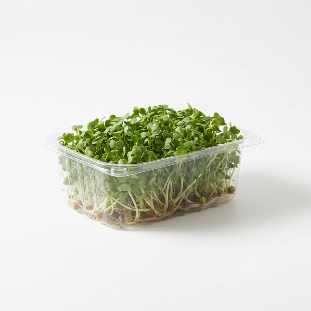 Fresh Broccoli Microgreens in a 13oz clamshell