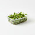 Fresh Broccoli and Radish Spring Mix Microgreens in a 13oz clamshell