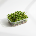 Three Part Salad Mix Microgreens